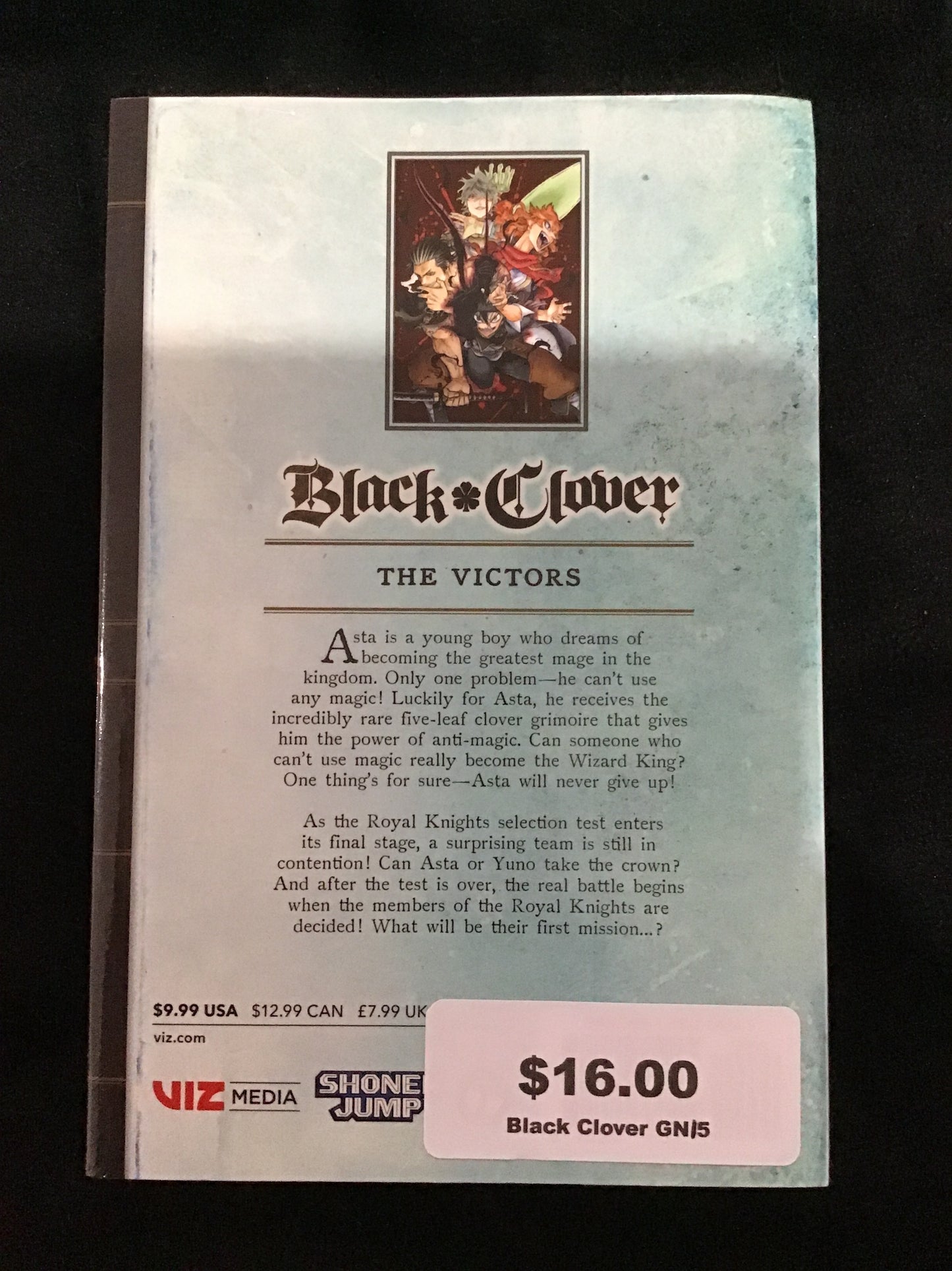 Black Clover #15