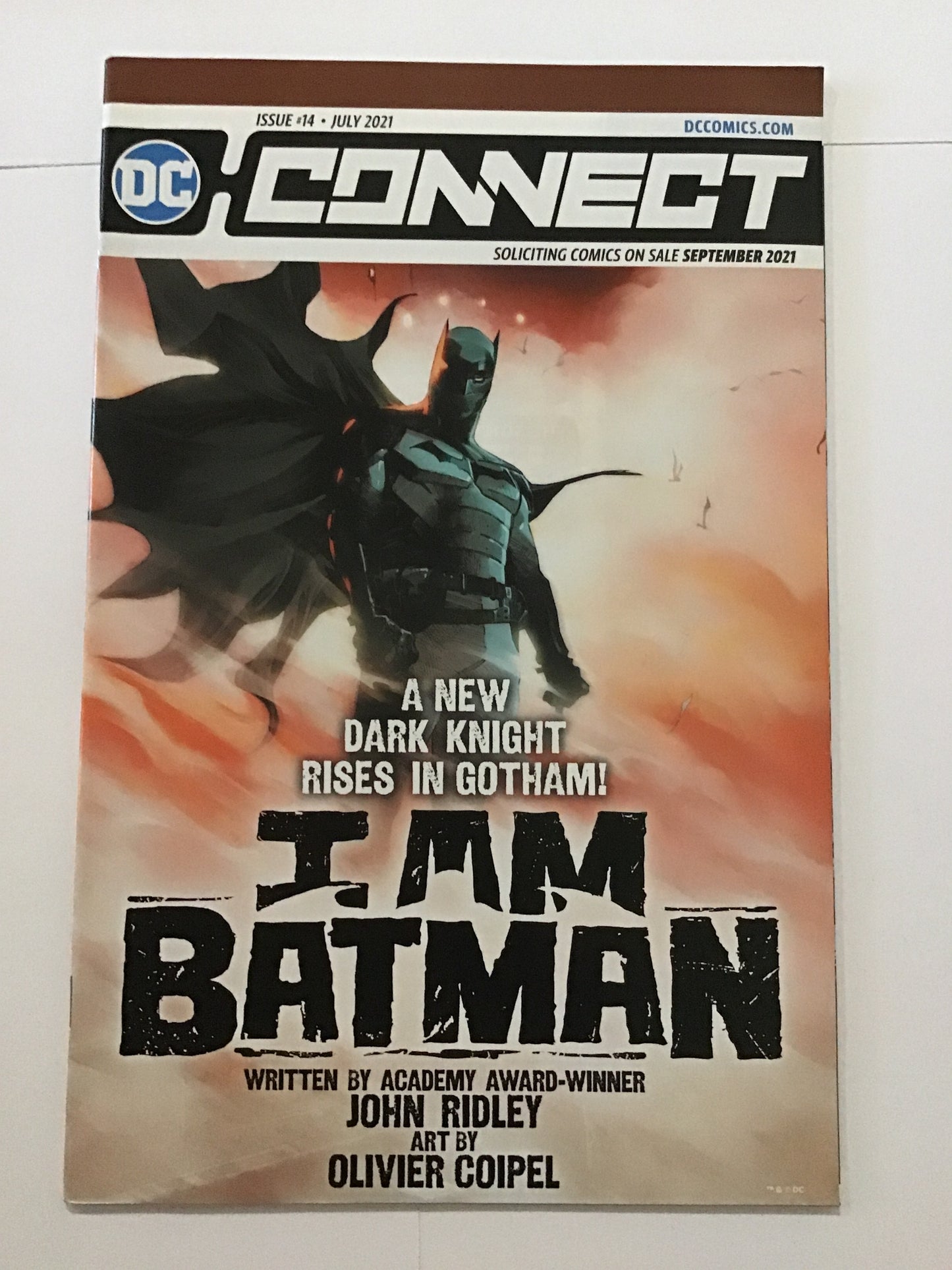 I Am Batman Issue #14