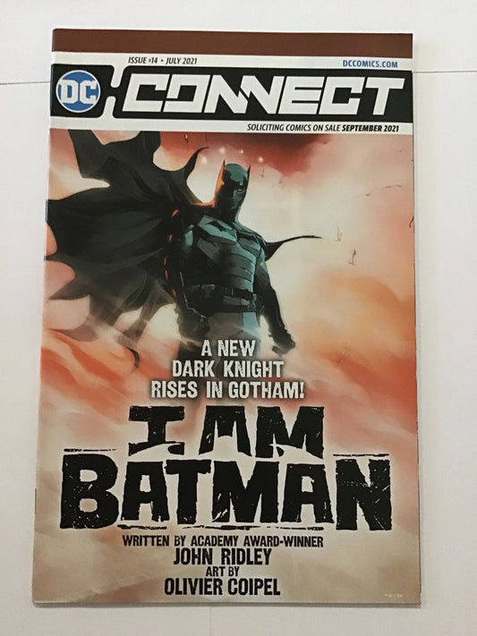 I Am Batman Issue #14